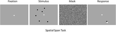 Effects of Transcranial Direct Current Stimulation on Baseline and Slope of Prefrontal Cortex Hemodynamics During a Spatial Working Memory Task